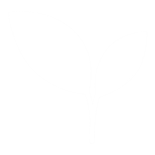 L-Theanine